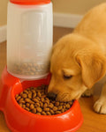 Comedero Automático para Perros y Gatos