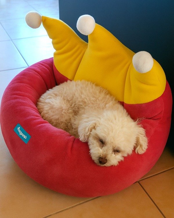 Camita para Perro de Fácil Lavado con Diseño de Corona